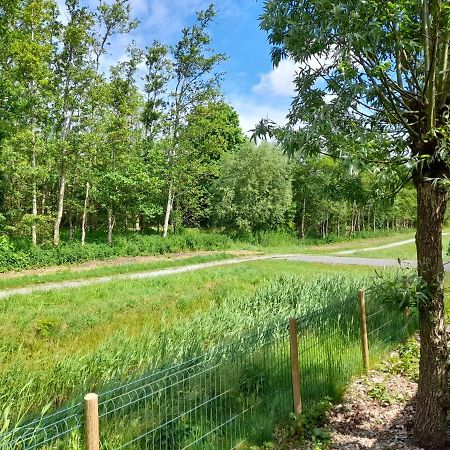 Wellnesshuis Met Hottub, Ligbad En Grote Tuin Villa Tzummarum Eksteriør bilde